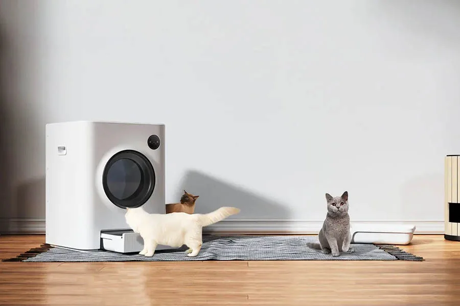 multi cat litter box